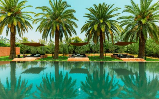 Villa Palm Palace